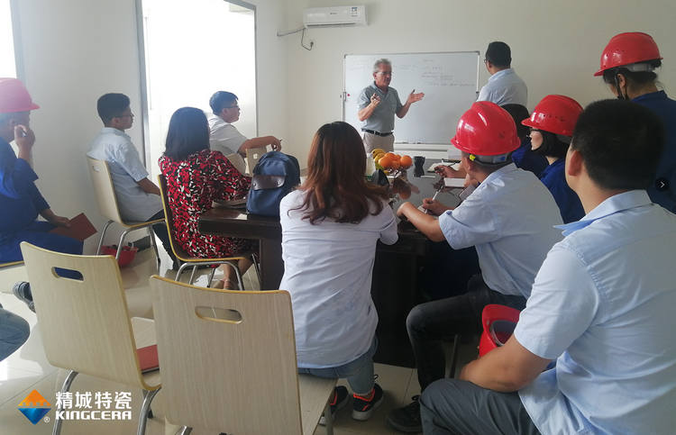 湖南KB88凯时官网特邀意大利专家举行质量治理培训